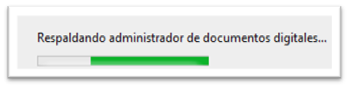 Respaldos Contabilidad 8